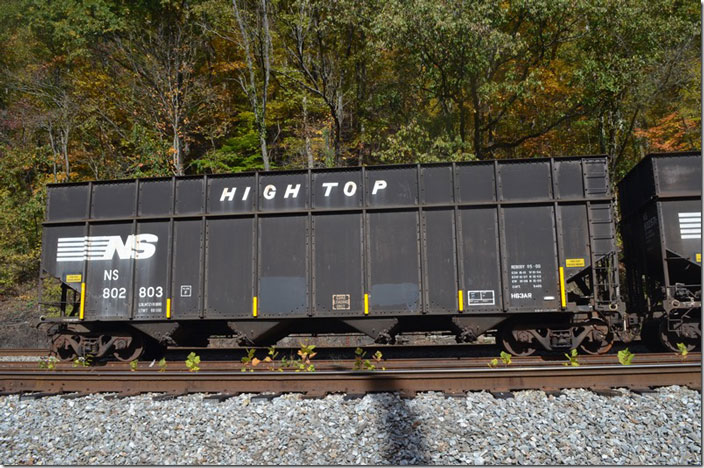 NS 802803 was built 10-1975 and got the “rebody” 5-2000. It’s load limit is 216,900 lb. even though the volume is greater. Coke is lighter as its undesirable elements for a steel making fuel have been distilled out. Devon WV.
