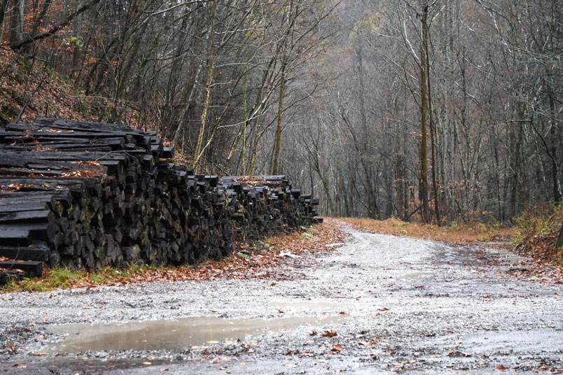 Abandoned Trace Fork SD just west of the tunnel off US 119. Trains use the Trace Fork SD to the Holden side of the tunnel. The rest of the branch to Scarlet in Mingo County has been removed.