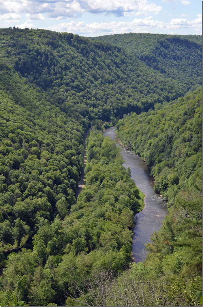 Pine Creek Gorge looking south from Colton Point State Park. Pine Creek Gorge PA.