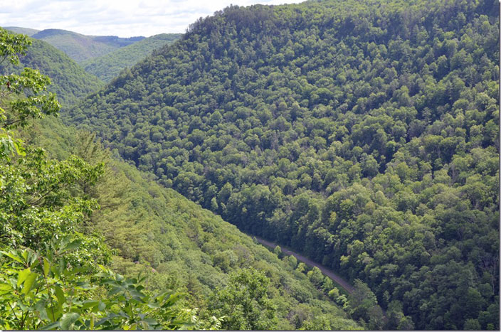 Looking north from Colton Point S.P. Pine Creek Gorge PA.