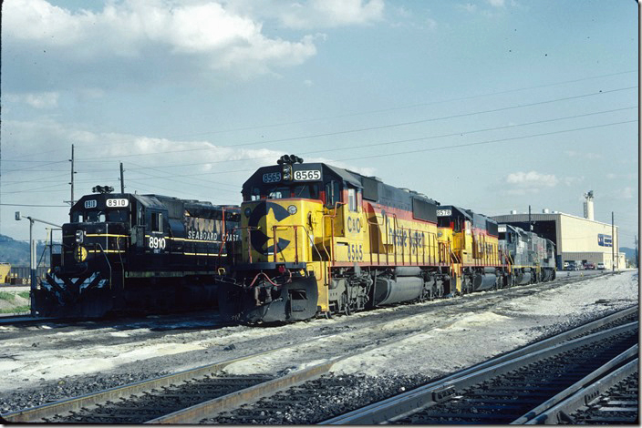 The SBD and Chessie diesel fleets have become fully integrated. 05-01-1988. L&N Corbin KY.