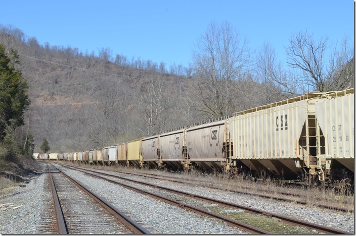 CSX stored covered hoppers. View 2. Sawmill KY.