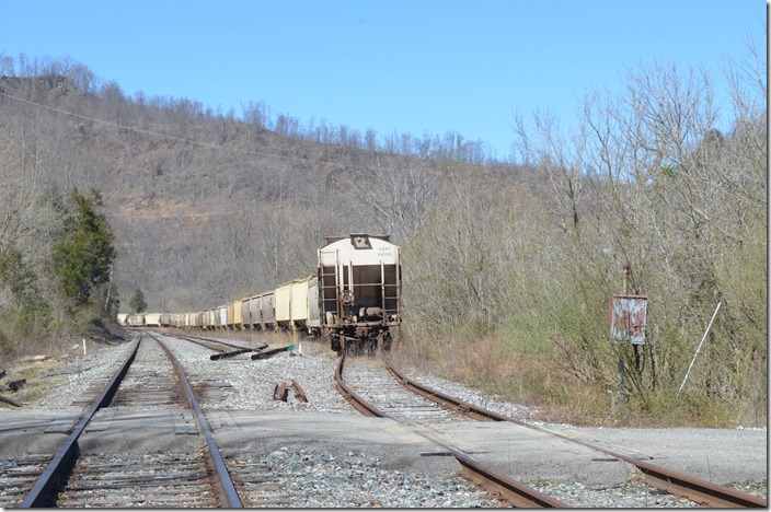 On up the Coal Run Sub. at Sawmill Yard, CSX has stored a bunch of out-of-work grain covered hoppers. 03-16-019. Sawmill KY.