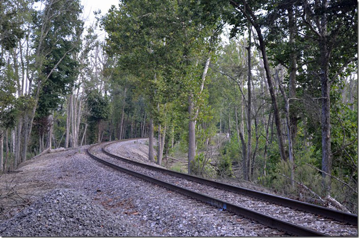 NS Lynnville Branch looking south from Turpin Hill Rd. This was formerly Peabody or Yankeetown Dock track. It is going through a swamp.