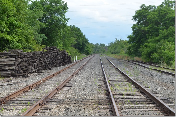 Looking south on the NS Niles Secondary. Saturday, 06-19-2021. NS near Warren OH, to the south.