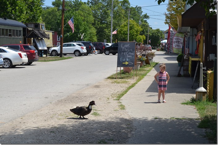 Ducks have the right-of-way in Metamora IN!